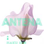 Cover art for『ANTENA - 白銀』from the release『Hakugin