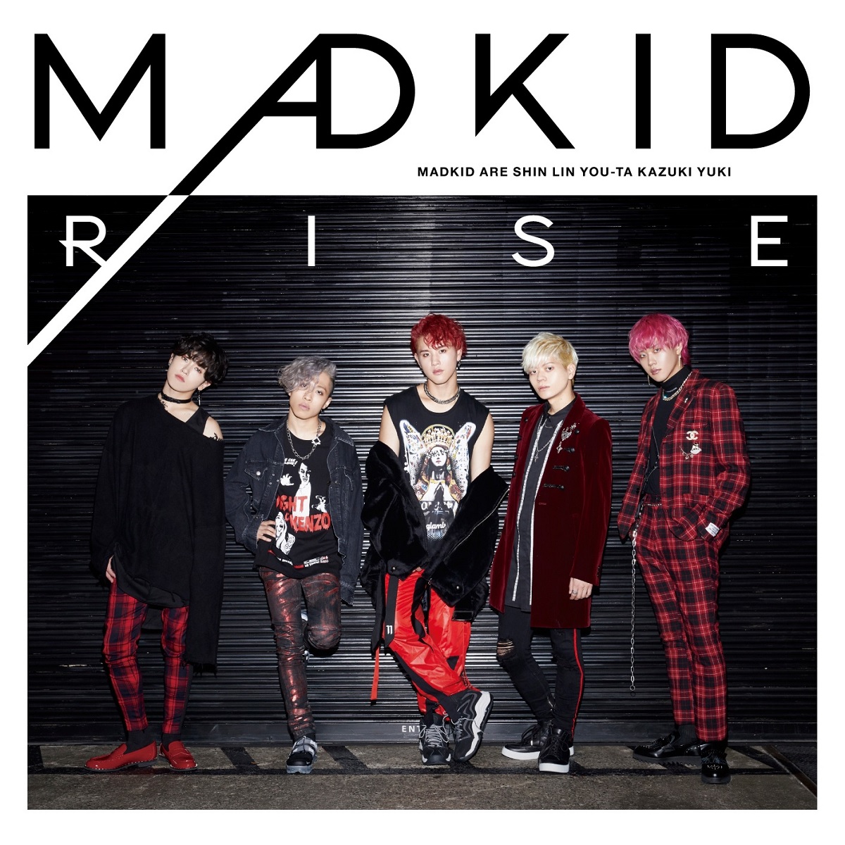 Cover for『MADKID - Puzzle』from the release『RISE』