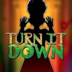 Cover art for『OR3O - Turn It Down』from the release『Turn It Down