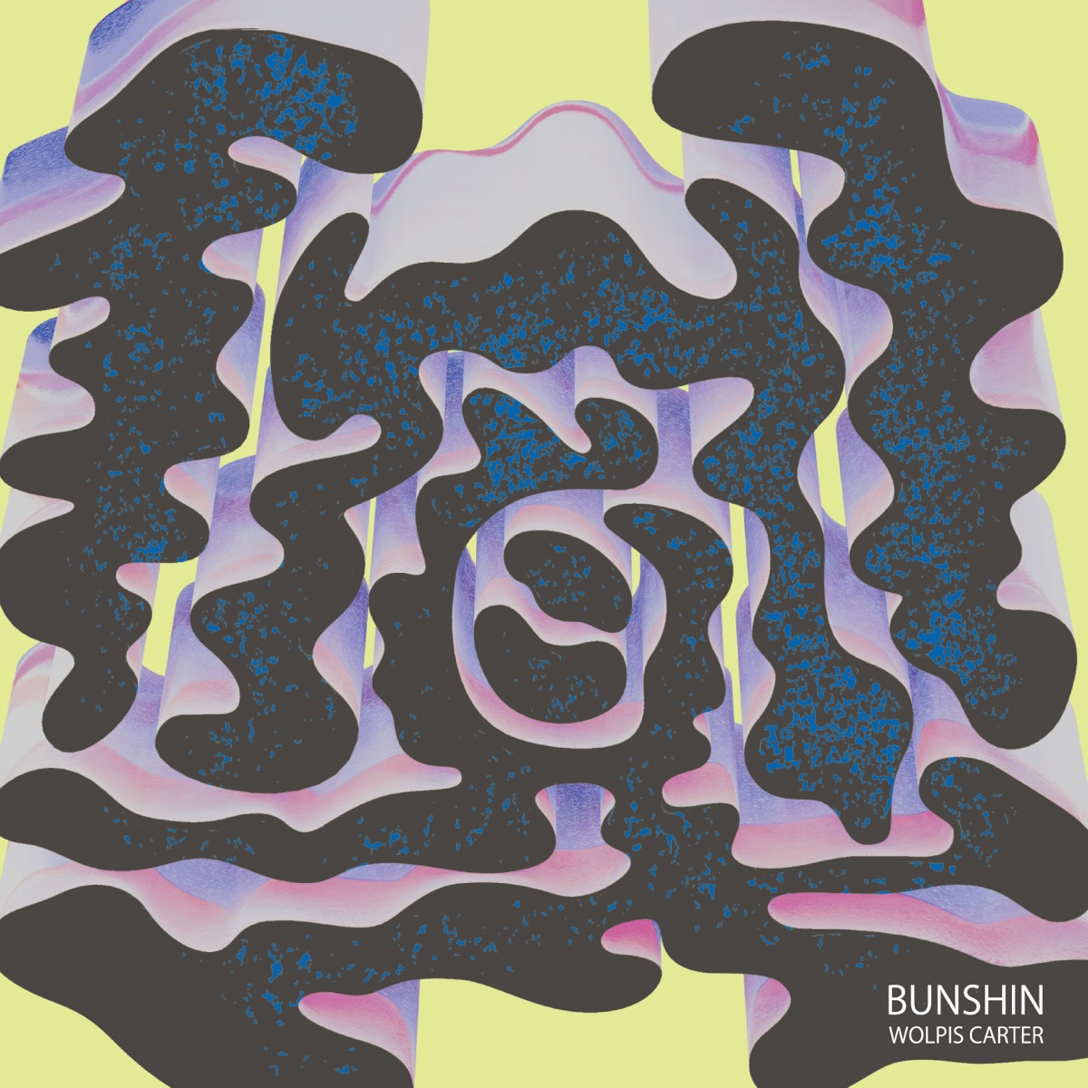 Cover art for『Wolpis Carter - Shoudou』from the release『Bunshin』