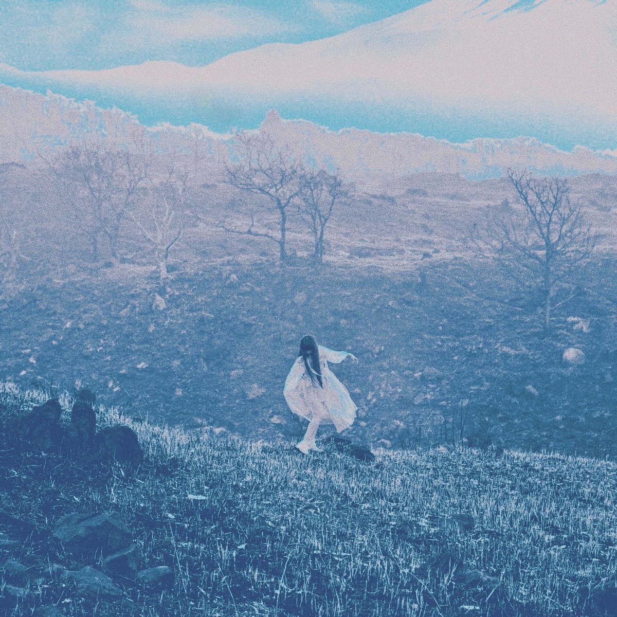 Cover art for『DAOKO - 燐光』from the release『Rinkou