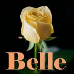 『MISS MERCY - Belle』収録の『Belle』ジャケット