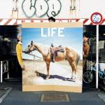 『フジファブリック - LIFE』収録の『LIFE』ジャケット