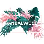 『Twinfield - Sandalwood』収録の『Sandalwood』ジャケット