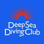 Cover art for『Deep Sea Diving Club - フーリッシュサマー』from the release『Foolish Summer