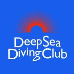 『Deep Sea Diving Club - フーリッシュサマー』収録の『フーリッシュサマー』ジャケット