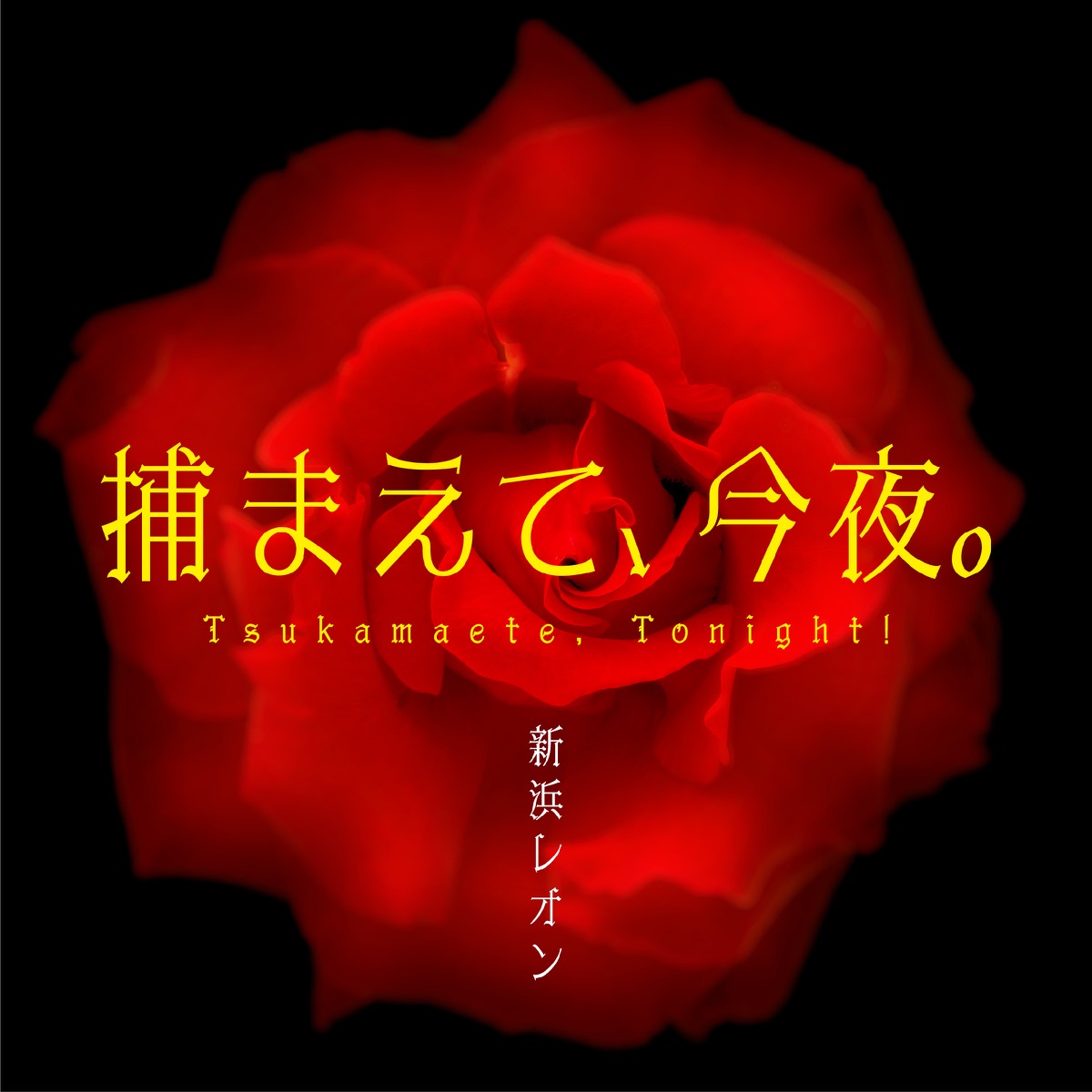 Cover art for『Leon Niihama - Tsukamaete, Tonight!』from the release『Tsukamaete, Tonight!』