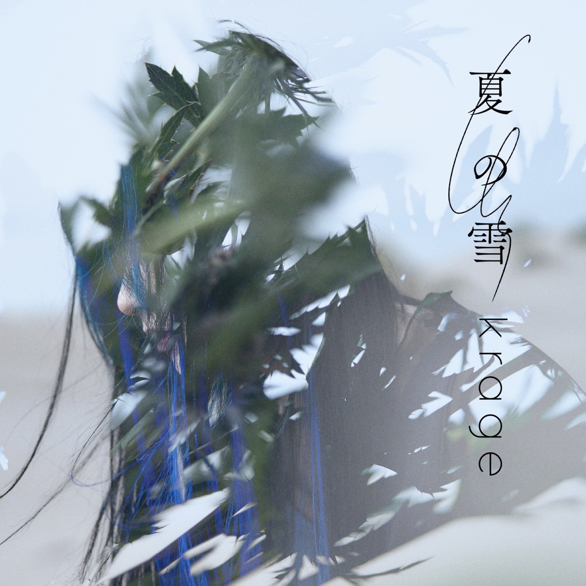 Cover art for『krage - Natsu no Yuki』from the release『Natsu no Yuki』