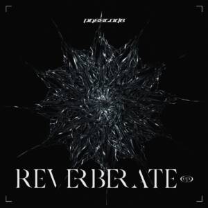 『PassCode - NOTHING SEEKER』収録の『REVERBERATE ep.』ジャケット