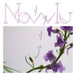 『Nowlu - 淡い』収録の『リナリア』ジャケット