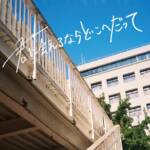 Cover art for『Perkers - Kimi ga Suki』from the release『Kimi ni Aeru Nara Doko e Datte』