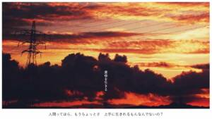 Cover art for『Tota Kasamura - Tasogare wo Ikiru』from the release『Tasogare wo Ikiru』