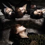 『WANDS - RAISE INSIGHT』収録の『RAISE INSIGHT』ジャケット