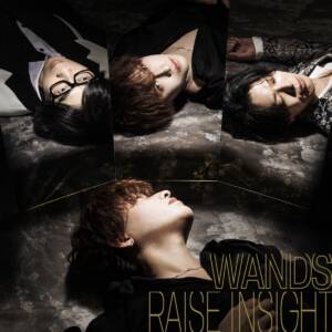 『WANDS - RAISE INSIGHT』収録の『RAISE INSIGHT』ジャケット