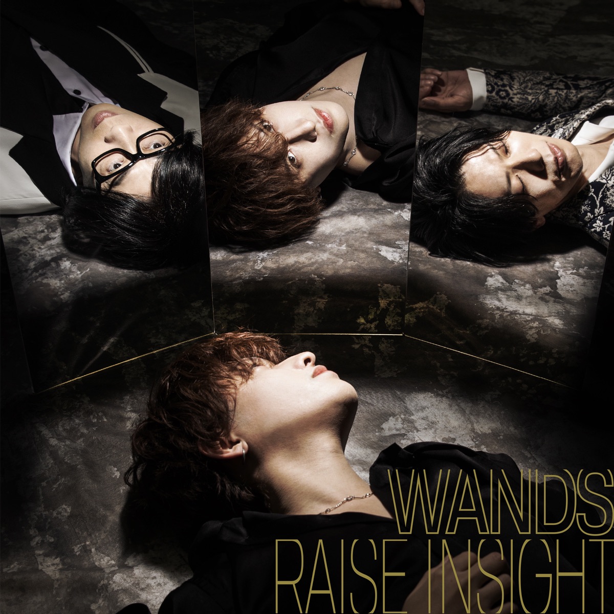 Cover art for『WANDS - RAISE INSIGHT』from the release『RAISE INSIGHT』
