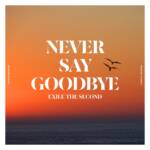 『EXILE THE SECOND - NEVER SAY GOODBYE』収録の『NEVER SAY GOODBYE』ジャケット