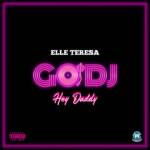 『Elle Teresa - GO DJ -Hey Daddy-』収録の『GO DJ -Hey Daddy-』ジャケット