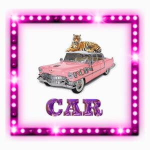 『虎韻 - CAR』収録の『CAR』ジャケット