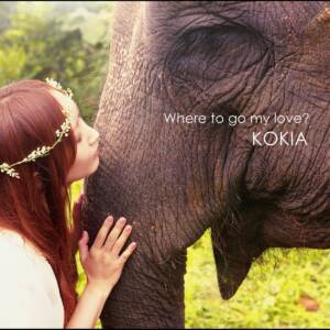 Cover art for『KOKIA - Yume no Tochuu』from the release『Where to go my love?』