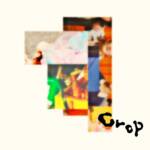 『オレンジスパイニクラブ - ルージュ』収録の『Crop』ジャケット