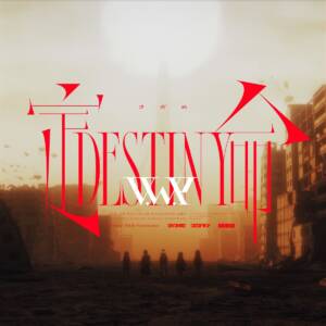 Cover art for『V.W.P - DESTINY』from the release『DESTINY』