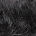 『BURNABLE/UNBURNABLE - 黒い犬』収録の『黒い犬』ジャケット