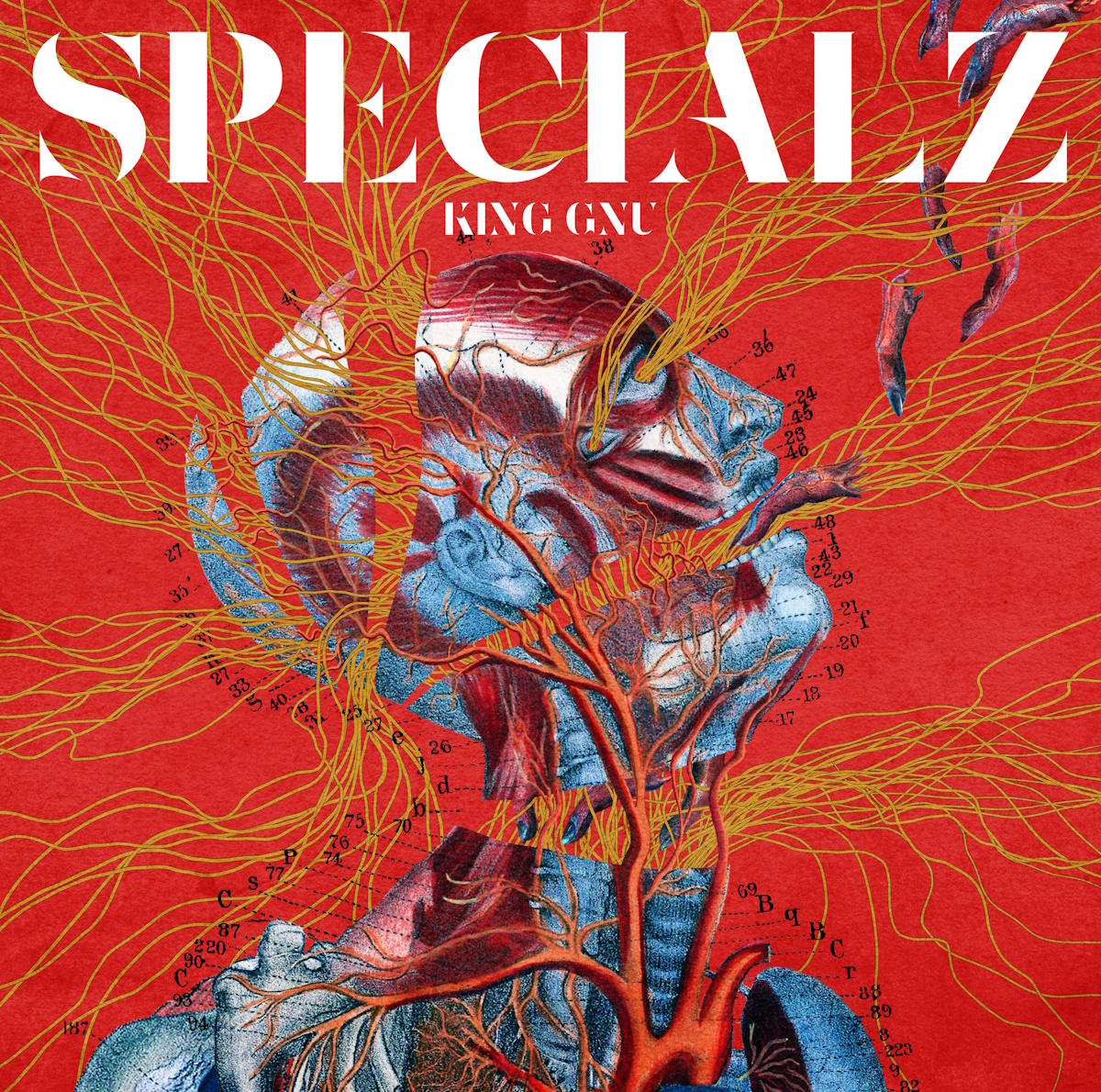 Cover art for『King Gnu - SPECIALZ』from the release『SPECIALZ』