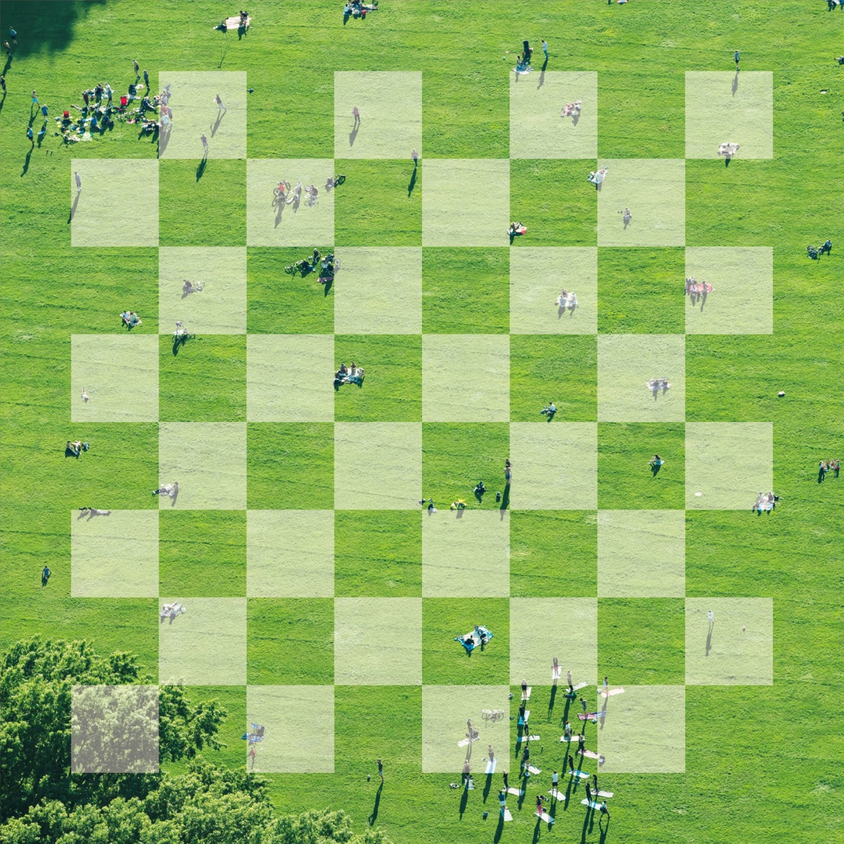 Cover art for『Official HIGE DANdism - Chessboard』from the release『Chessboard』