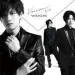 Cover art for『WANDS - We Will Never Give Up』from the release『Version 5.0』