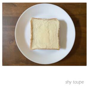 Cover art for『shy taupe - room』from the release『Margarine』