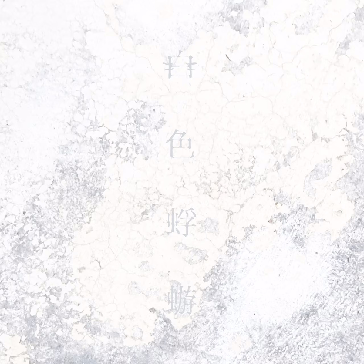 Cover art for『Aimer - Shiroiro Kagerou』from the release『Shiroiro Kagerou』