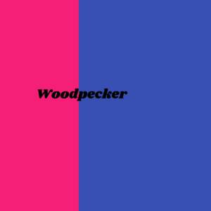 『VACON - Woodpecker』収録の『Woodpecker』ジャケット