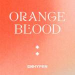『ENHYPEN - Orange Flower (You Complete Me)』収録の『ORANGE BLOOD』ジャケット