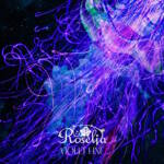 『Roselia - VIOLET LINE』収録の『VIOLET LINE』ジャケット