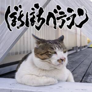 Cover art for『Uchikubigokumon-Doukoukai - Shibou Flag wo Tatenaide』from the release『Bochibochi Veteran』