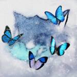 『WOLF HOWL HARMONY - Frozen Butterfly』収録の『Frozen Butterfly』ジャケット