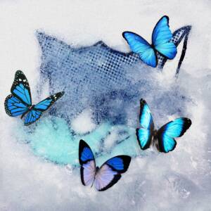 Cover art for『WOLF HOWL HARMONY - You&I』from the release『Frozen Butterfly』