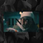 Cover art for『NORIKIYO - IINDA.』from the release『IINDA.