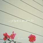 Cover art for『yangskinny - 雪月花』from the release『Bukiyou na Watashi Dakara