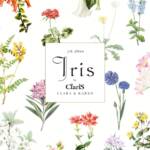 『ClariS - Love is Mystery』収録の『Iris』ジャケット