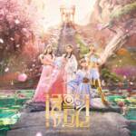 Cover art for『Momoiro Clover Z - Heroes』from the release『idola