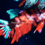 『9mm Parabellum Bullet - カタルシス』収録の『カタルシス』ジャケット