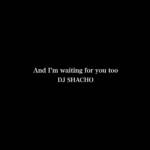 『DJ SHACHO - And I'm waiting for you too』収録の『And I'm waiting for you too』ジャケット