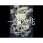 Cover art for『Seiya Minazuki - Ichirin no Hana feat. Shiwasu』from the release『Ichirin no Hana feat. Shiwasu』