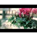 Cover art for『Seiya Minazuki - Kimi no Katachi feat. Wasaharu』from the release『Kimi no Katachi feat. Wasaharu』