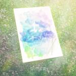 Cover art for『Hina Aoki - Colors of You』from the release『Colors of You』