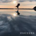 Cover art for『wacci - 君を好きな理由』from the release『Kimi wo Suki na Riyuu