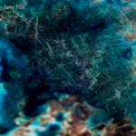Cover art for『Official HIGE DANdism - Same Blue』from the release『Same Blue』