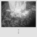 『斉藤壮馬 - 雨の庭』収録の『雨の庭』ジャケット