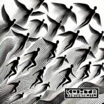 Cover art for『KOHTA YAMAMOTO feat. AAAMYYY - Liberation』from the release『Liberation